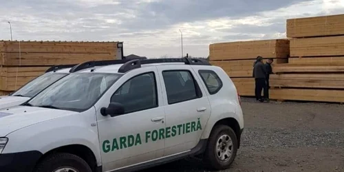 garda forestiera foto facebook png