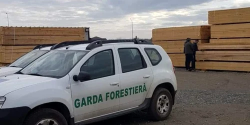garda forestiera foto facebook png