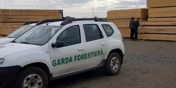 garda forestiera foto facebook png