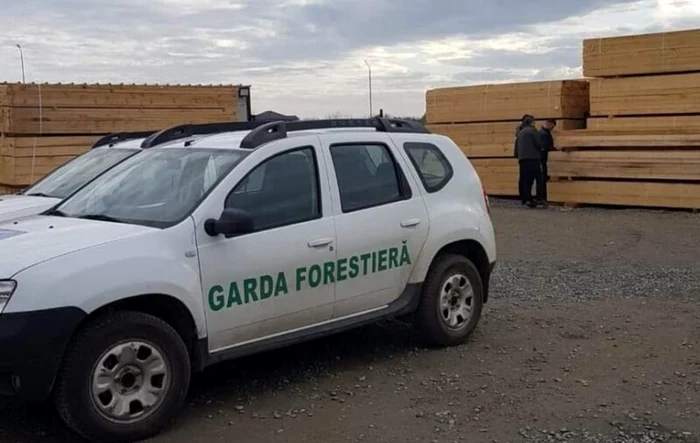 Guvernul a aprobat reorganizarea Gărzii Forestiere FOTO: Facebook