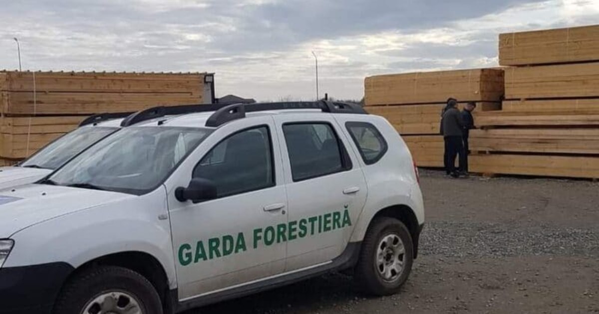 Salarii uriașe la Garda Forestieră. Șefii instituției ar încasa până la 5.000 de euro pe lună