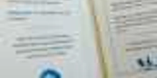 Meniul bazat pe preparate din resturi alimentare de la prânzul ONU FOTO UN Spokesperson/Twitter