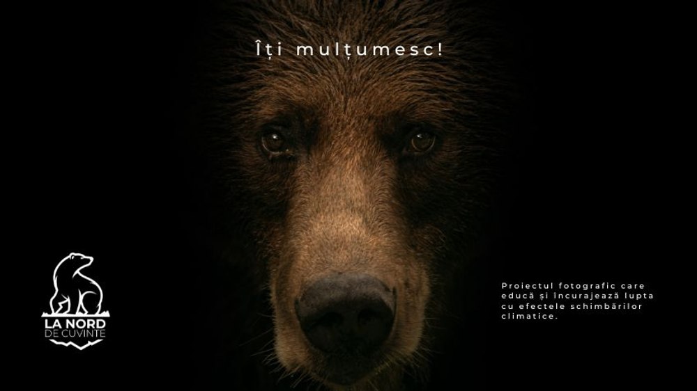 „La NORD de cuvinte”, primul demers al unui fotograf român de a documenta artistic natura și viața sălbatică de lângă Polul Nord