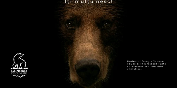 Ursul brun iti multumesc! jpeg