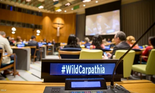 Filmul documentar «Wild Carpathia   Seasons of Change», prezentat în premieră la sediul ONU jpeg