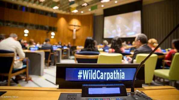 Filmul documentar «Wild Carpathia Seasons of Change», prezentat în premieră la sediul ONU jpeg