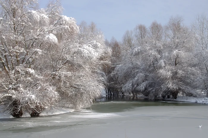 Paradisul îngheţat