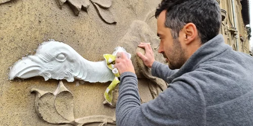 Casa cu păuni FOTO HoT