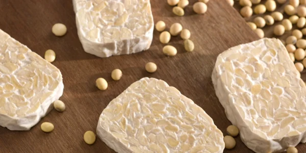 tempeh