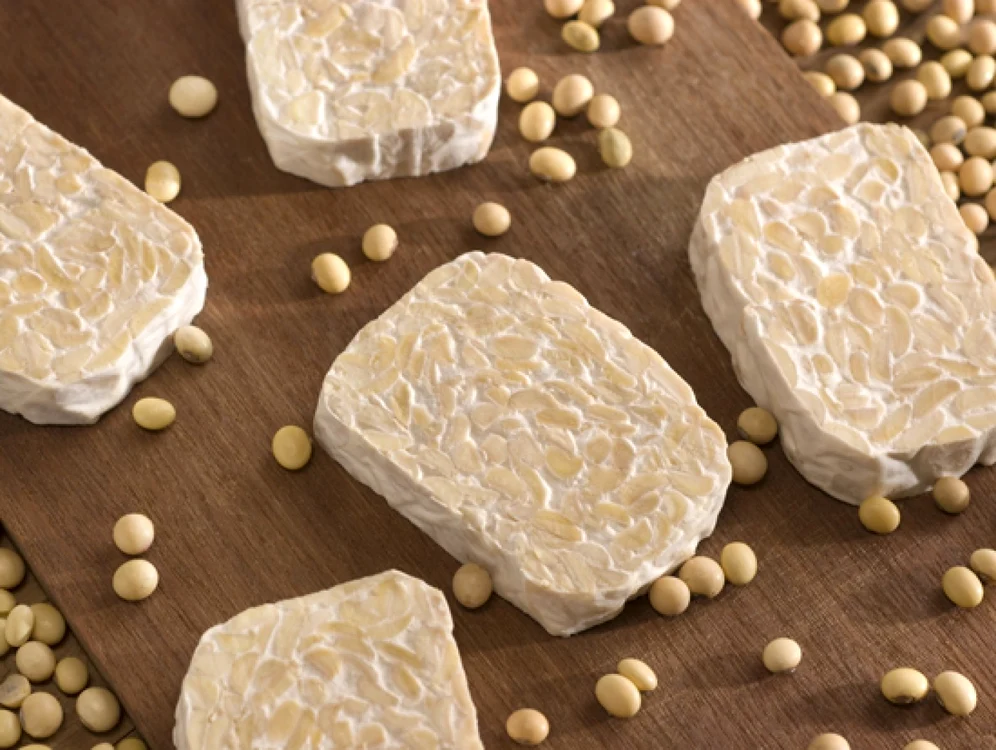 Tempeh este o combinaţie între mai multe tipuri de soia (sursă foto : motherearthnews.com)