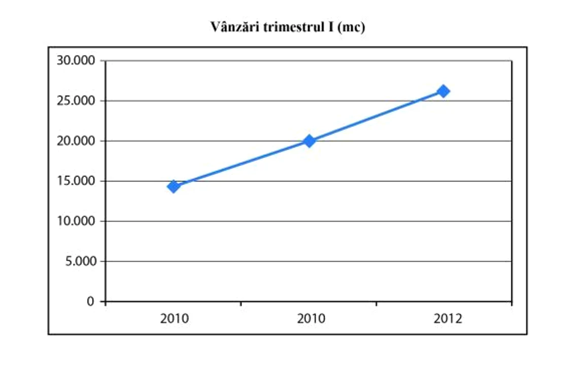 CEMACON SA în creştere, cărămidă cu cărămidă - tabel 1 (Vanzari)