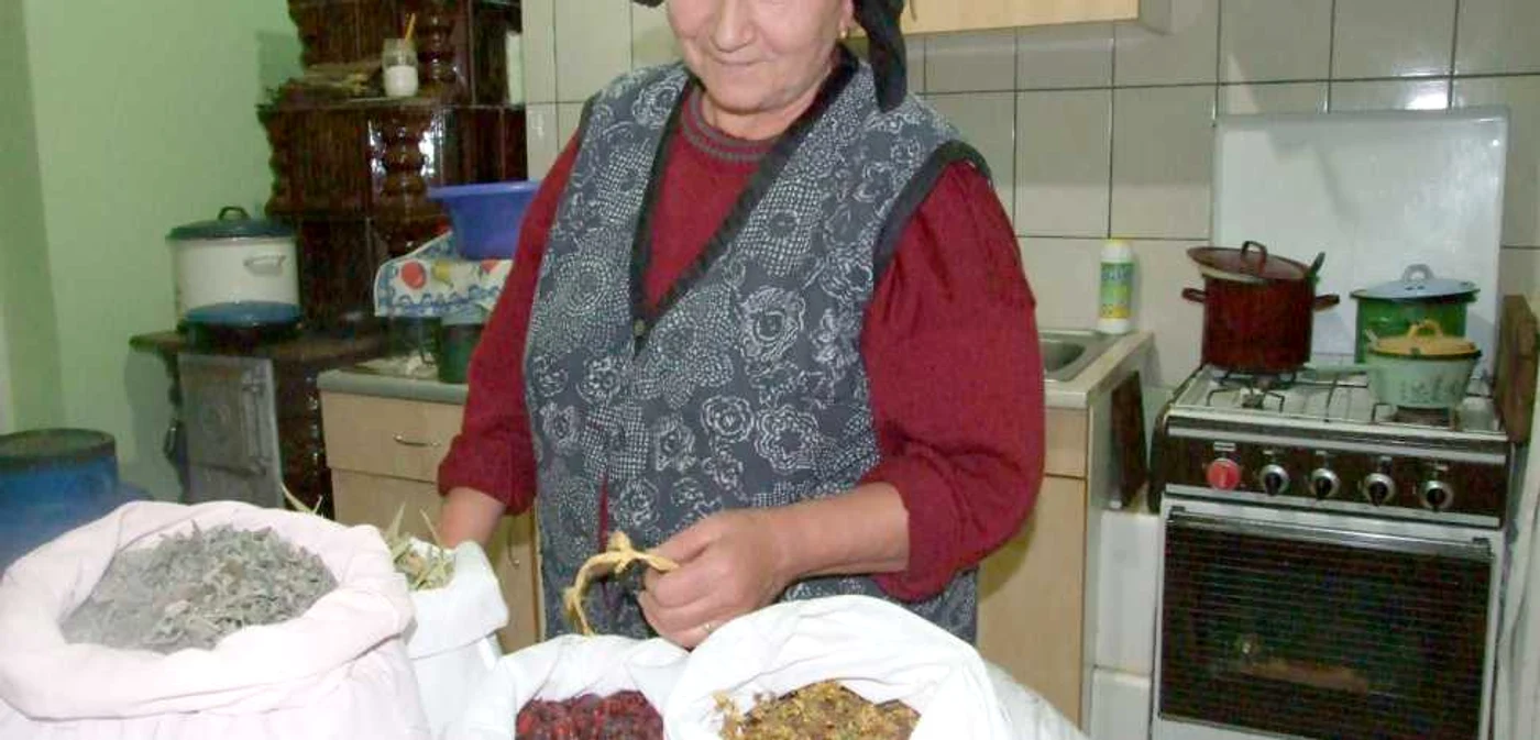 Vârstnicii se tratează cu ceaiuri medicinale