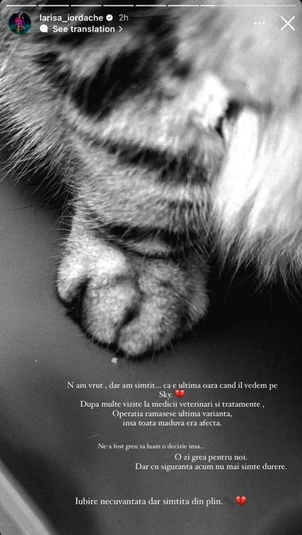 Postarea Larisei Iordache / foto: captură Instagram