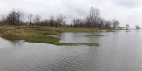 cod portocaliu pe dunare in mehedinti FOTO Corina Macavei