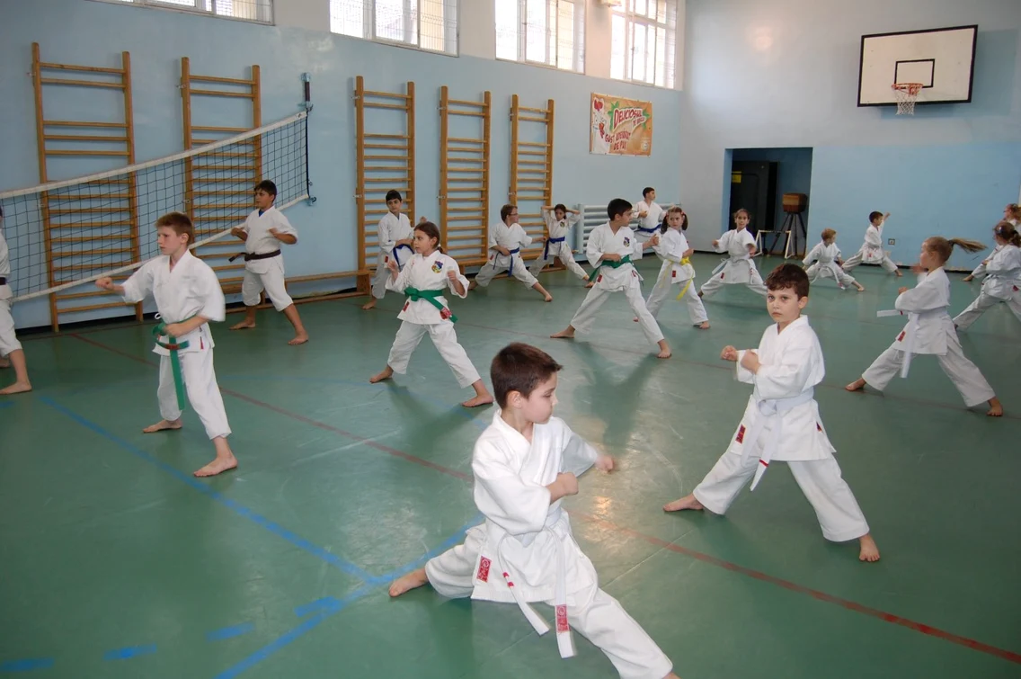 Karate Kensei Vaslui 