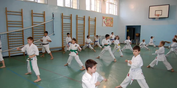 Karate Kensei Vaslui 