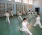 Karate Kensei Vaslui 
