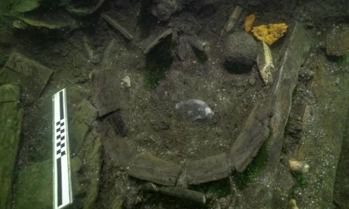 Resturile unui sturion de Atlantic, o specie aproape dispărută în prezent, descoperite în epava unei nave regale daneze jpeg