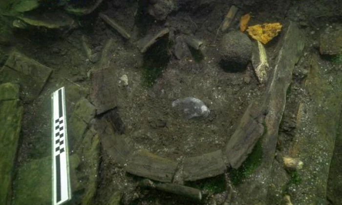 Resturile unui sturion de Atlantic, o specie aproape dispărută în prezent, descoperite în epava unei nave regale daneze jpeg