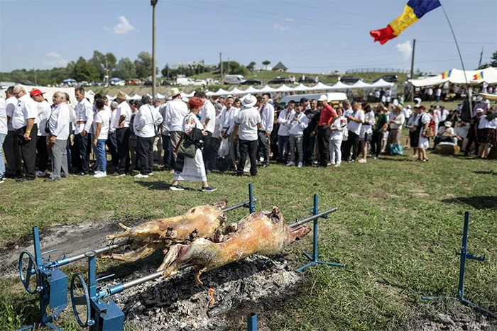 Berbecuții s-au rumenit la proțap. Foto Inquam Photos