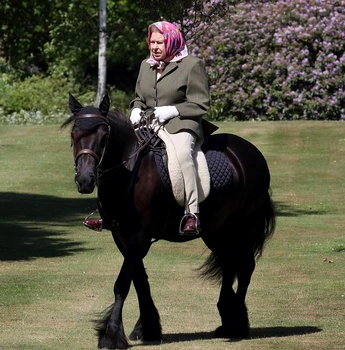 2 regina calare jpg jpeg