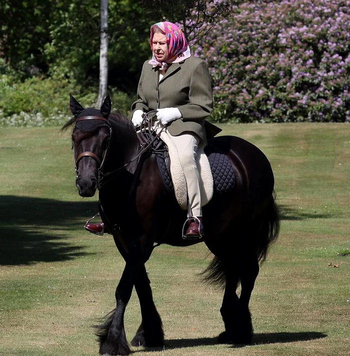 2 regina calare jpg jpeg