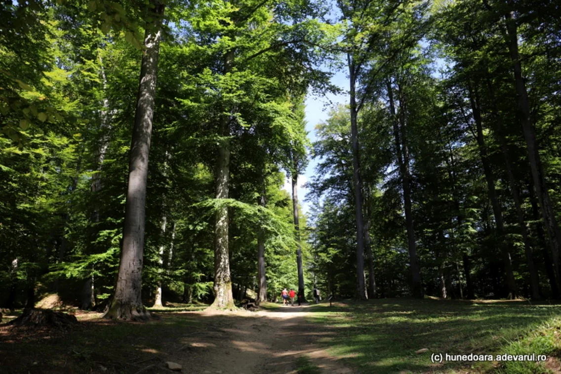 sarmizegetusa regia foto daniel guta adevarul