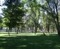 parcul municipal 6
