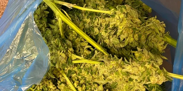 Cannabis in Arges