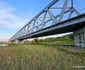 Pod feroviar la Tisa pe Valea mureșului Foto Daniel Guță ADEVĂRUL (2) jpg