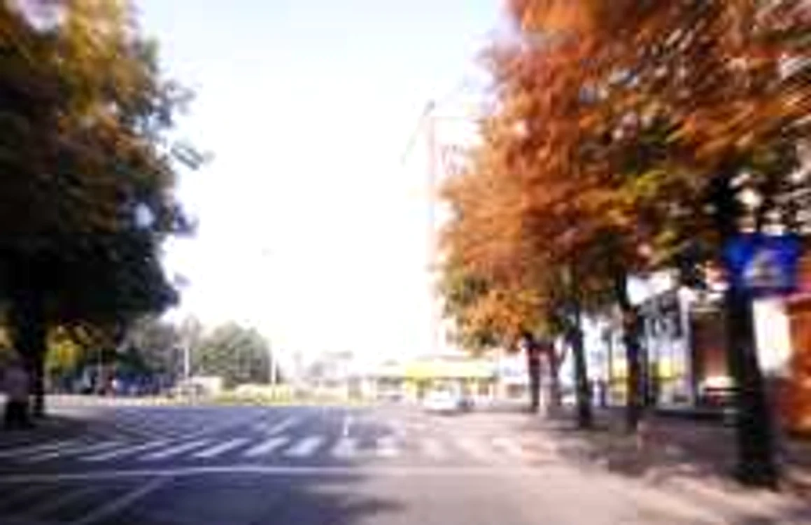 Fiecare strada din Baia Mare va fi spalata FOTO:Adevarul