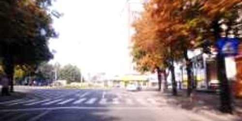 baia mare