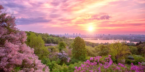 gradina botanica din kiev shutterstock 1092942677 jpg