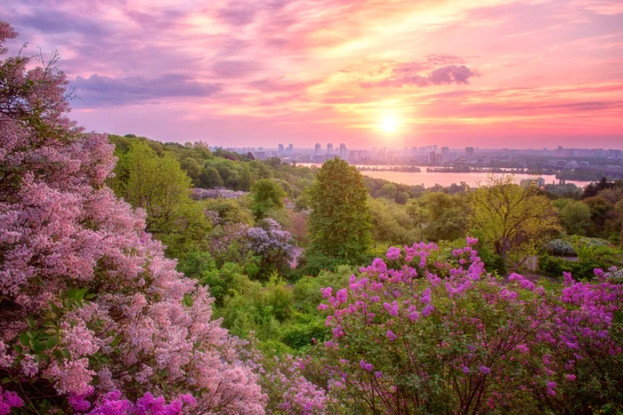 Grădina Botanică din Kiev. FOTO Shutterstock (arhiva)