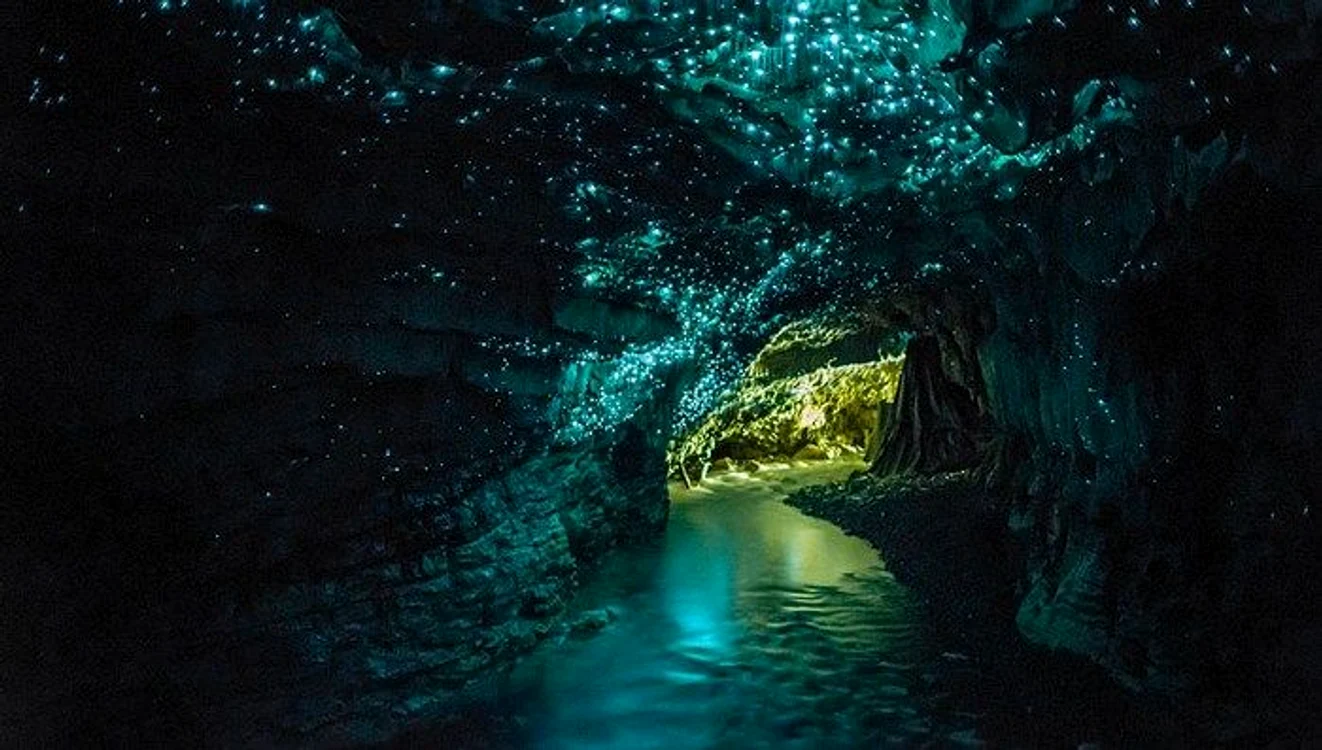 Waitomo Glowworm Caves tour jpg jpeg