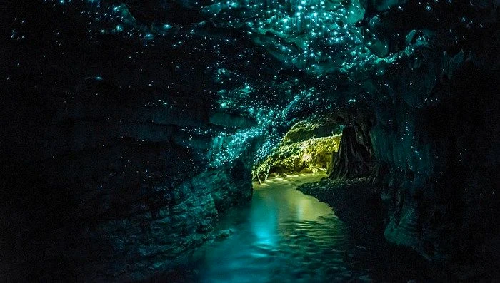 Waitomo Glowworm Caves tour jpg jpeg