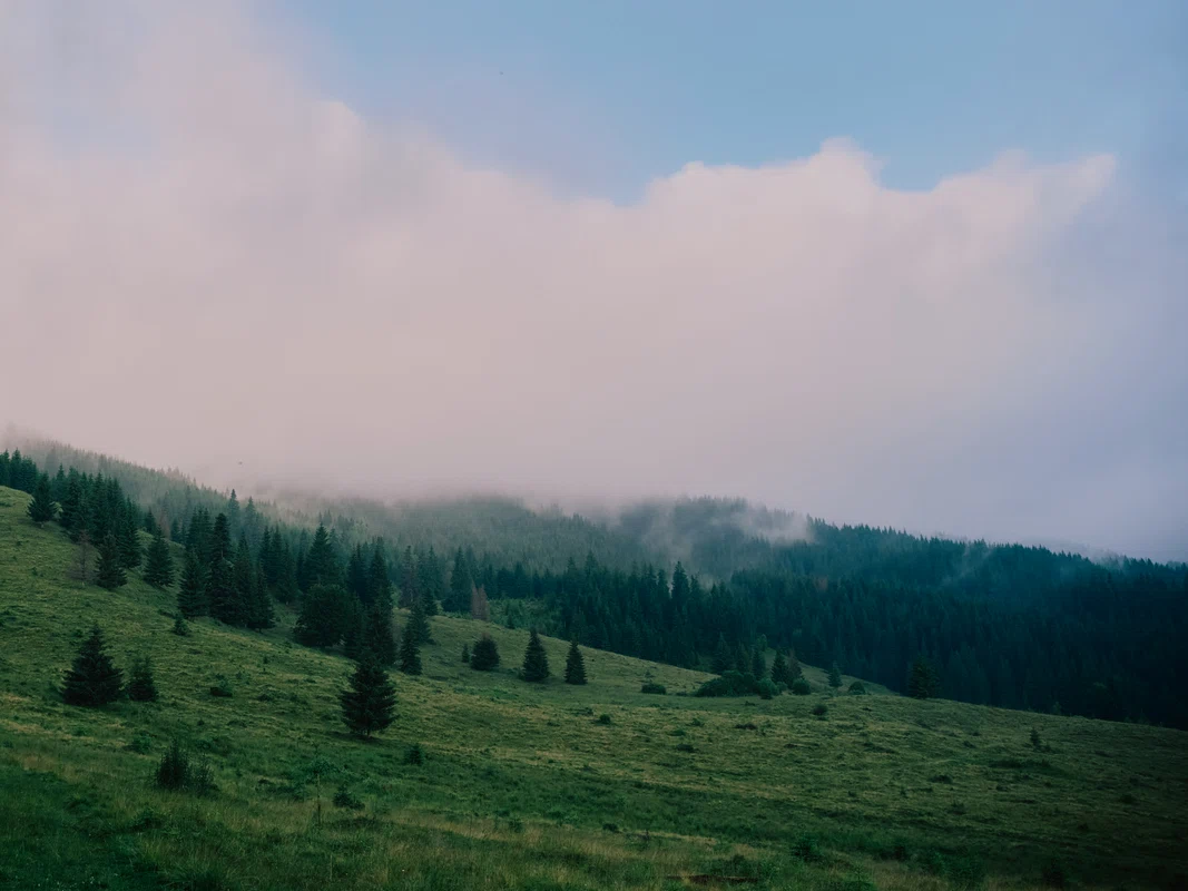 Bilbor, un colț de lume liniștit