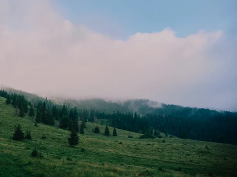 Bilbor, un colț de lume liniștit