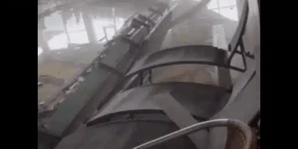 tavan gif gif