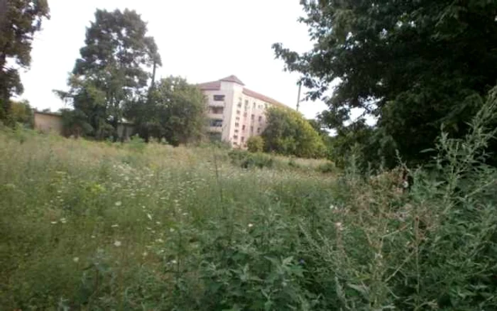 Angajaţii Primăriei Timişoara nu au fost în stare să identifice un teren abandonat din oraş FOTO Opinia Timisoarei