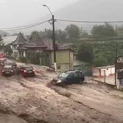 Captură de ecran 2026 07 19 154558 png