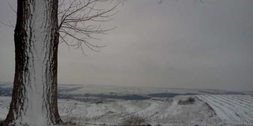 Iarnă în sudul Dobrogei Foto: Aura Enache