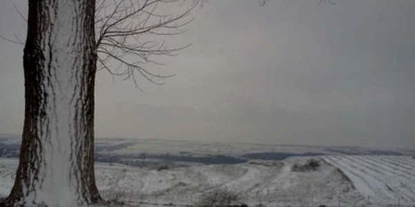 Iarnă în sudul Dobrogei Foto: Aura Enache