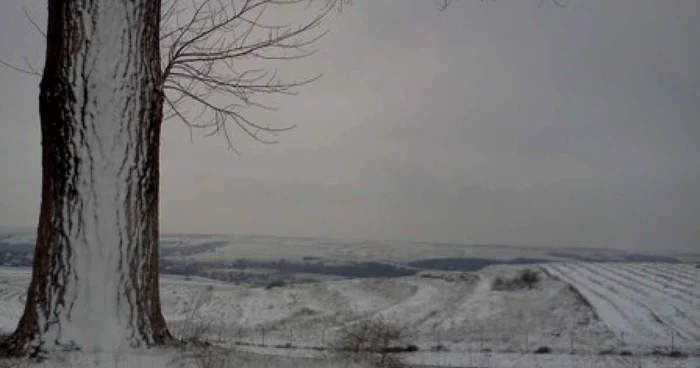 Iarnă în sudul Dobrogei Foto: Aura Enache