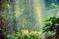 sprinkler 3569233 1280 jpg