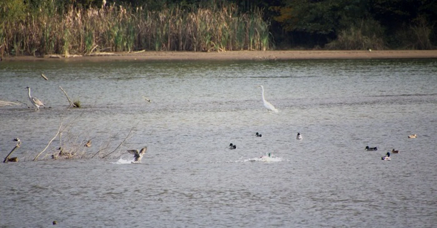 lacul covragiu foto calin pop
