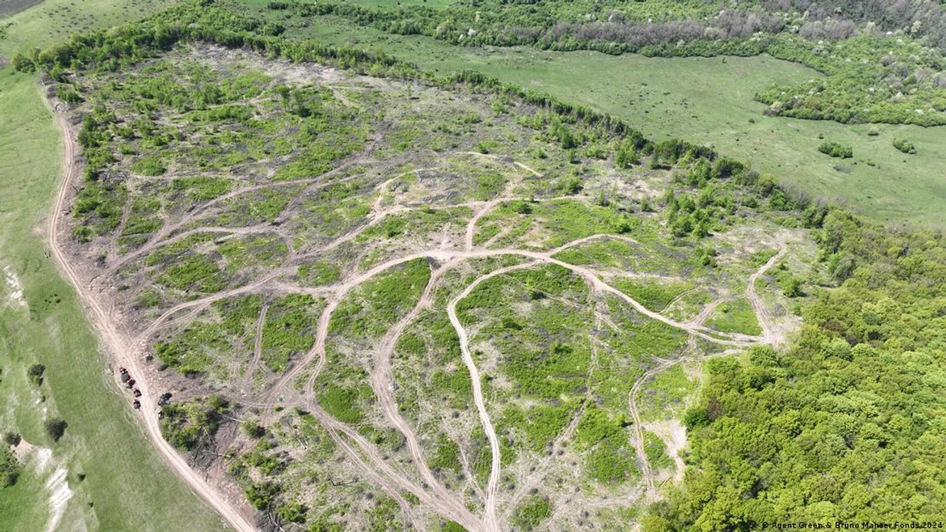 Zonă de pădure aparent tăiată la ras, lângă Vecerd, Sibiu. Alimentează lanțul de aprovizionare IKEA