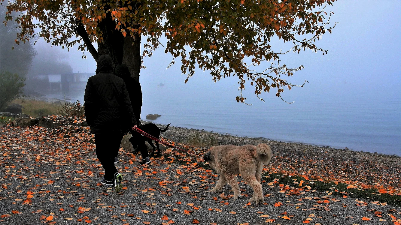 
    Vremea va fi deosebit de călduroasă de Crăciun foto: Pixabay.com  