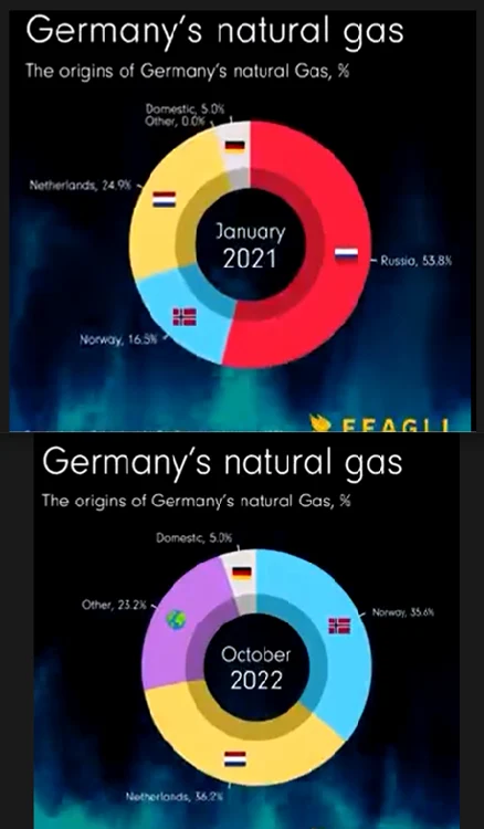 Raportul anual al BDEW - Asociația Federală de Energie și Managementul Apei Germania