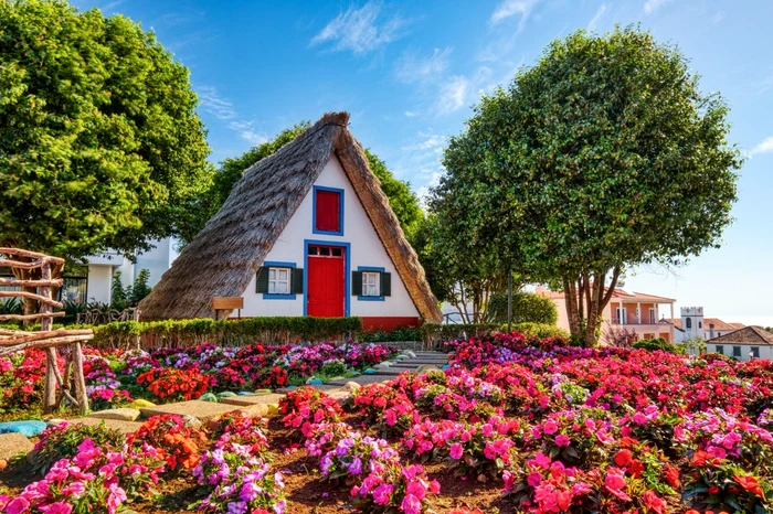 Casuță veselă înconjurată de flori în Madeira